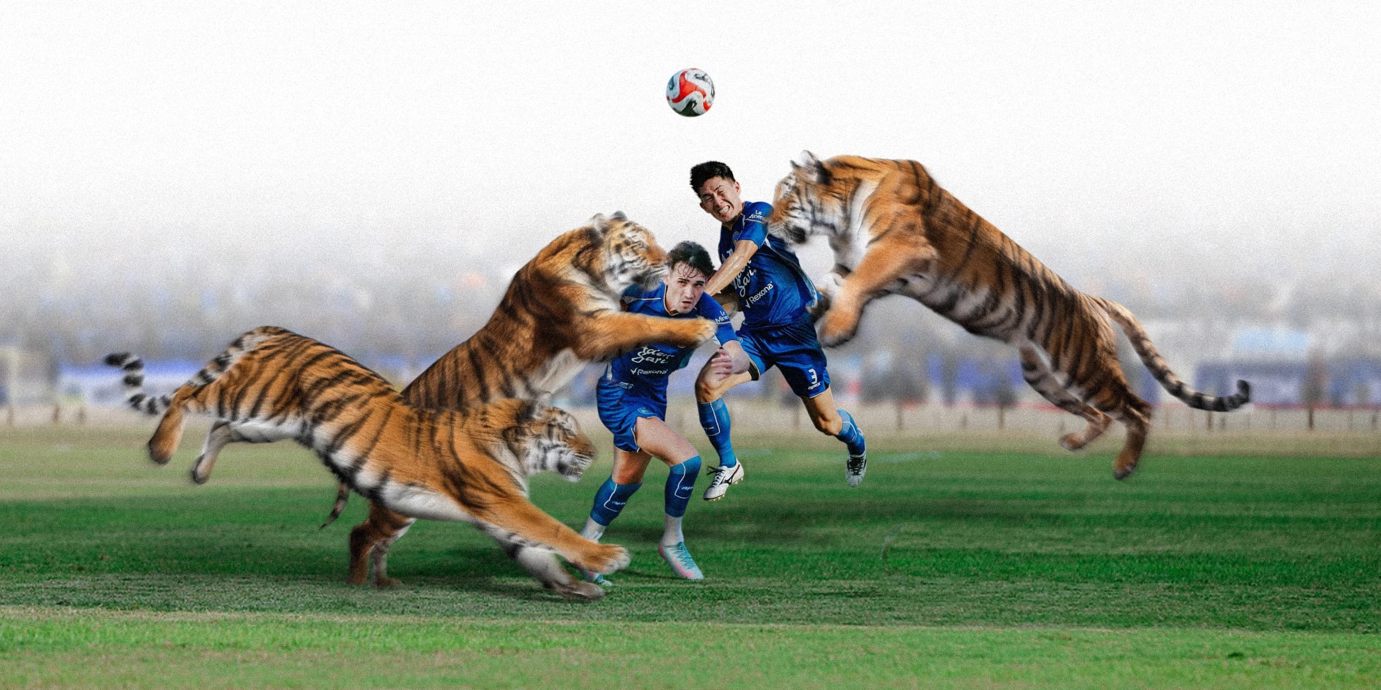 Kita Tidak Takut Menantang Sang Juara!